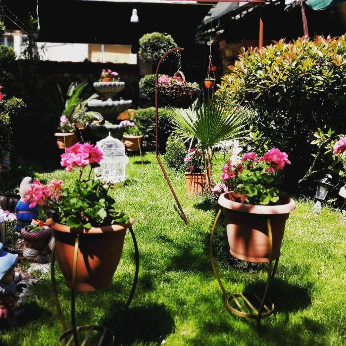 Gala-Garden Hotel Bitola Eksteriør billede