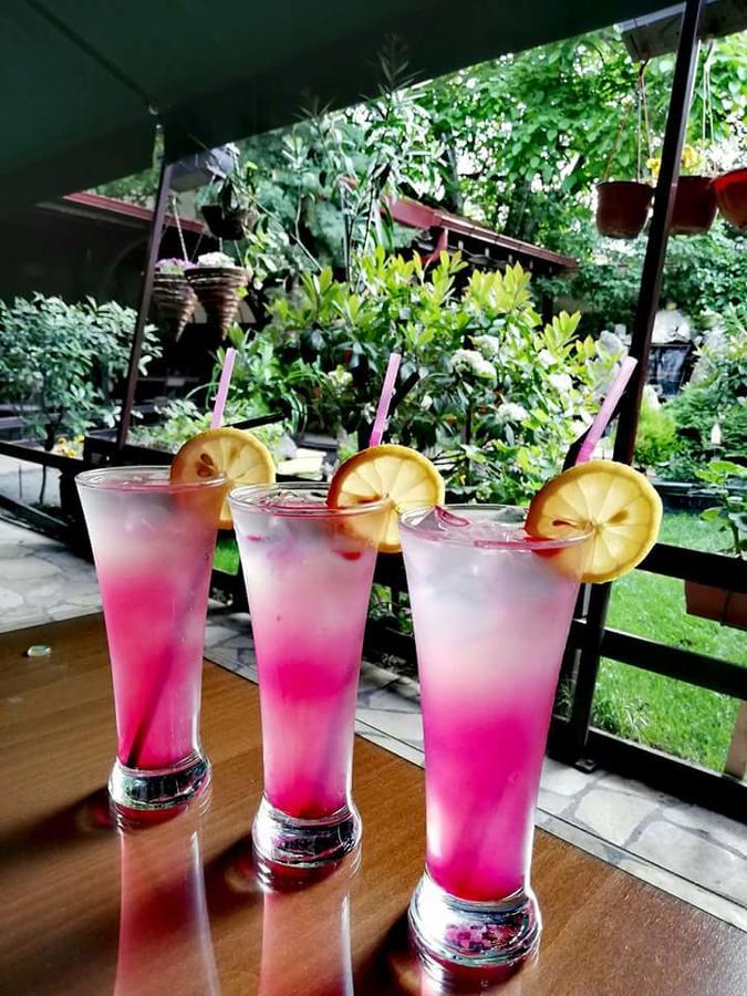 Gala-Garden Hotel Bitola Eksteriør billede